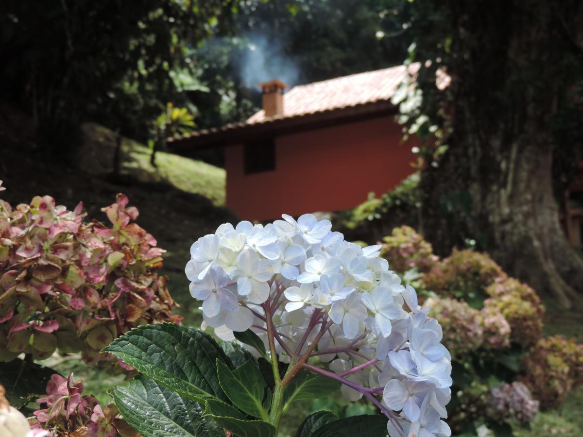 Chalé Truta da Floresta Visconde de Mauá Exterior foto