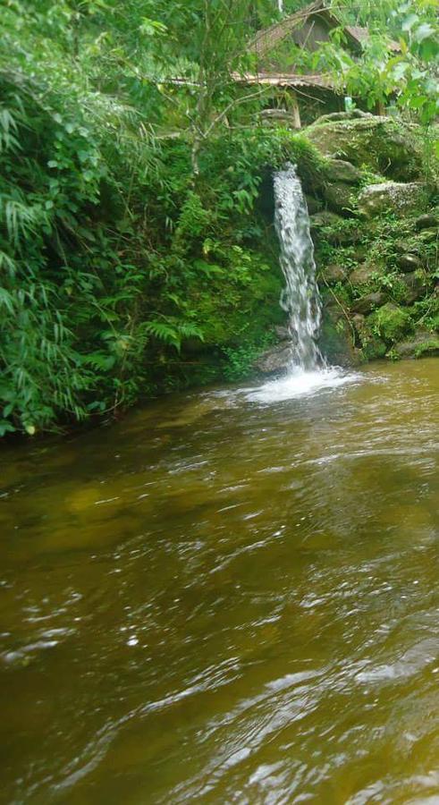 Chalé Truta da Floresta Visconde de Mauá Exterior foto
